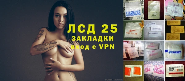 индика Верея
