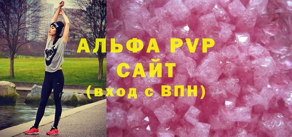 индика Верея