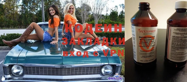 индика Верея