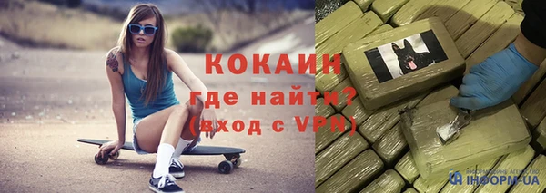 индика Верея