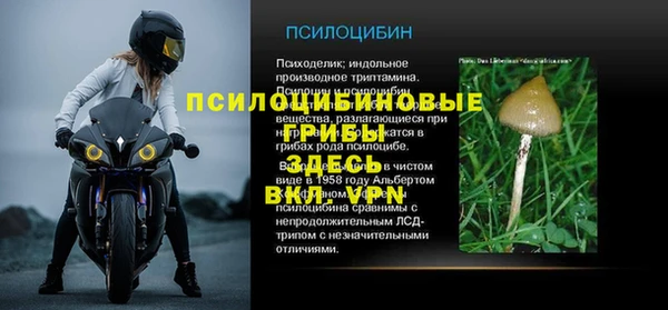 jwh Верхний Тагил