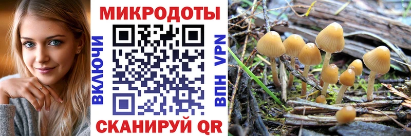Псилоцибиновые грибы Magic Shrooms  Крым 